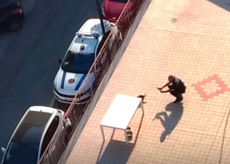 Casoria, cane lasciato sul terrazzo sotto il sole: muore di stenti