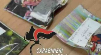 Droghe d’élite a 80 euro al grammo: a Melito il primo maxi-sequestro di ‘Frozen Hashish’
