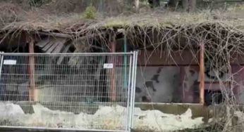 Eliporto ‘Le Tore’, scatta il sequestro del cantiere: indagati due funzionari del Comune di Sorrento