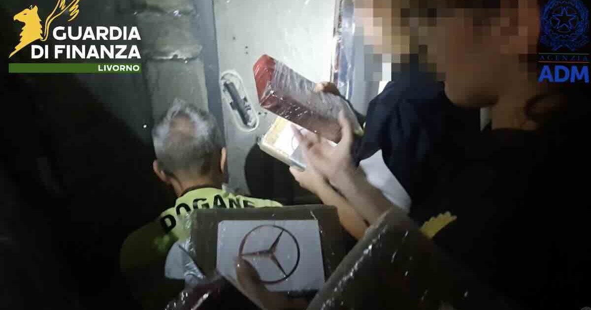 Sequestro record di 65 chili di cocaina nel container di banane: valore 20 milioni di euro