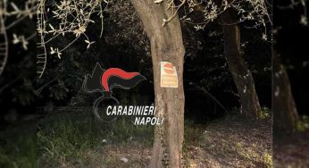 Massa Lubrense, il pusher dell’ulivo tradito dai dettagli: la mappa della droga inviata su WhatsApp
