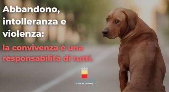 Napoli lancia una campagna contro l’abbandono e la violenza sugli animali
