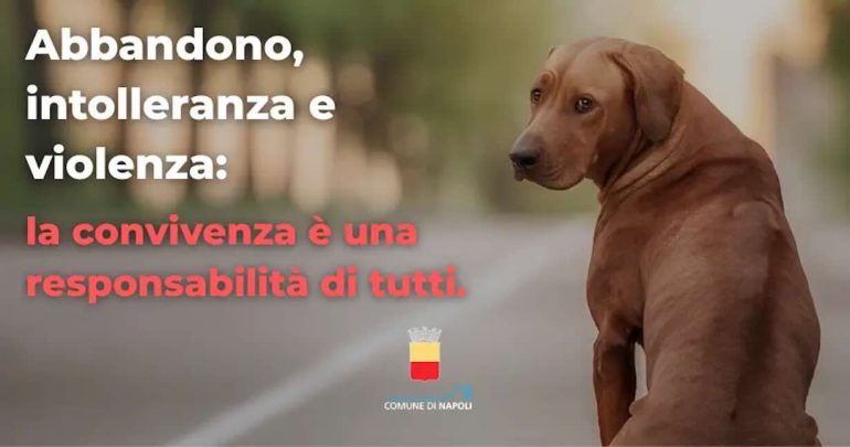 Napoli lancia una campagna contro l’abbandono e la violenza sugli animali
