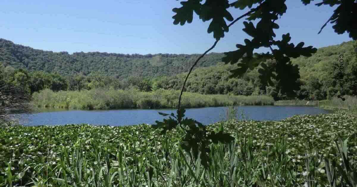 L'oasi wwf degli Astroni