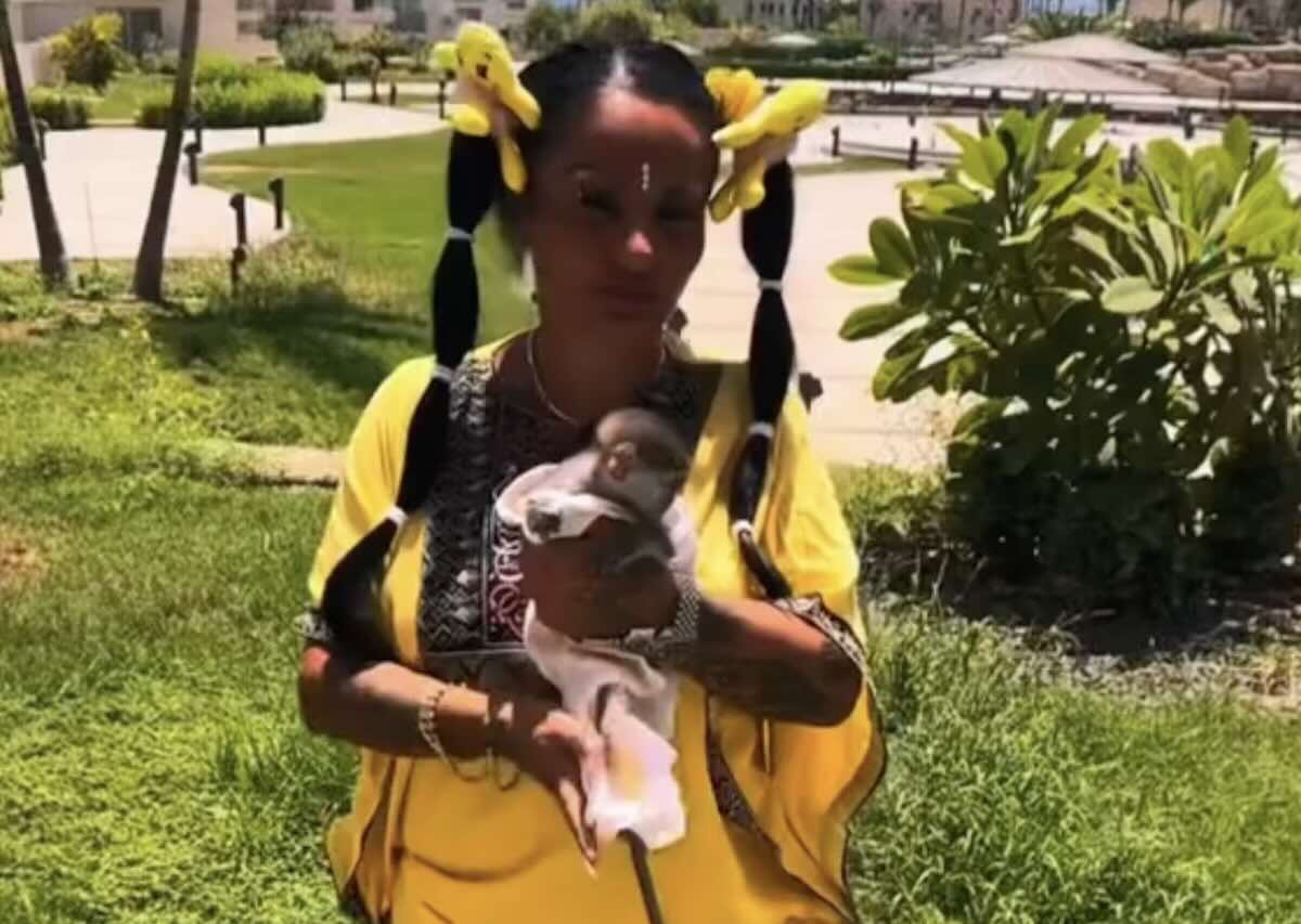 Allerta infettivologica per l’incontro di Rita De Crescenzo con una scimmietta: Bassetti mette in guardia sui pericoli legali e sanitari.