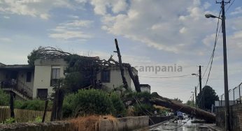 Scafati: pino si abbatte su una villetta, famiglia intrappolata in casa