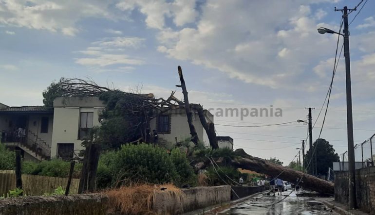 Scafati: pino si abbatte su una villetta, famiglia intrappolata in casa