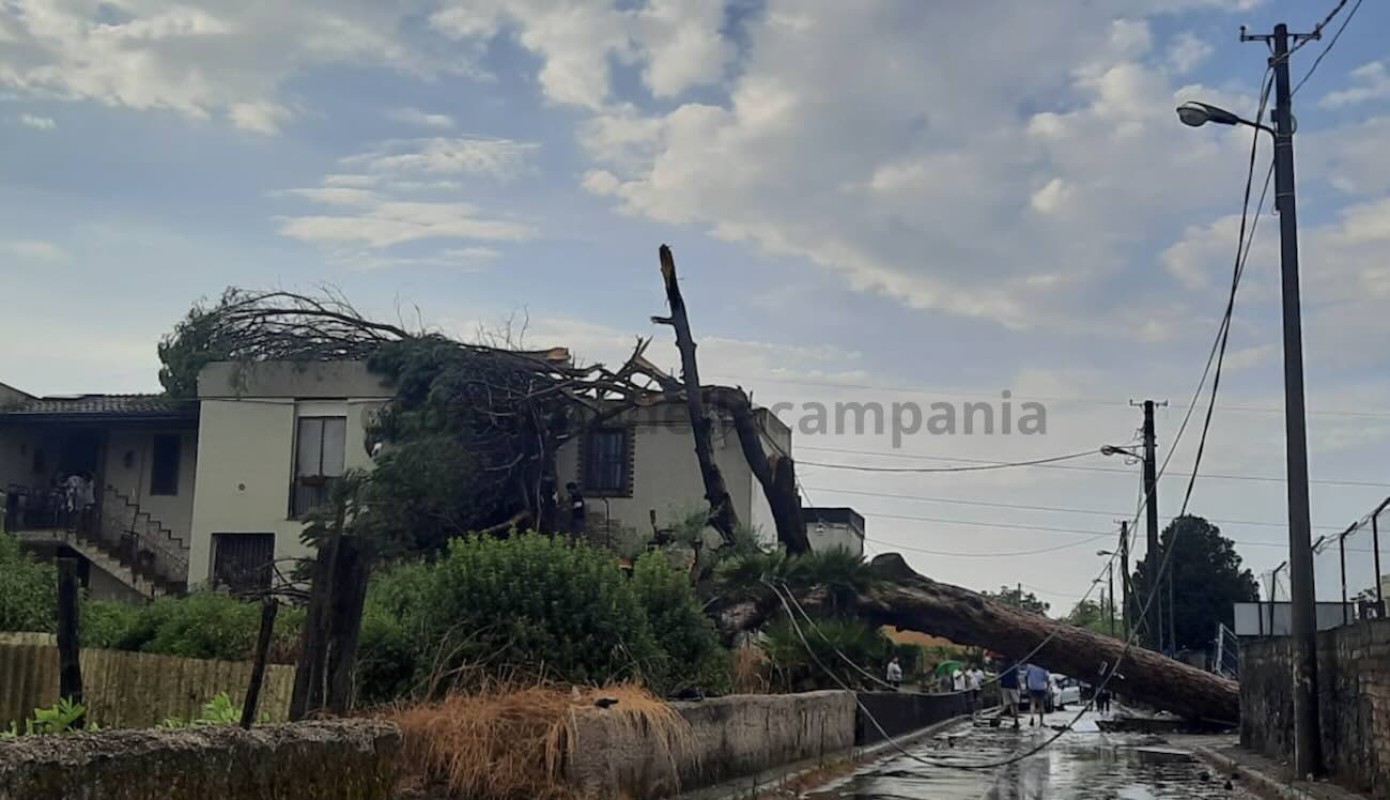 Il pino crollato sulla villetta a Scafati