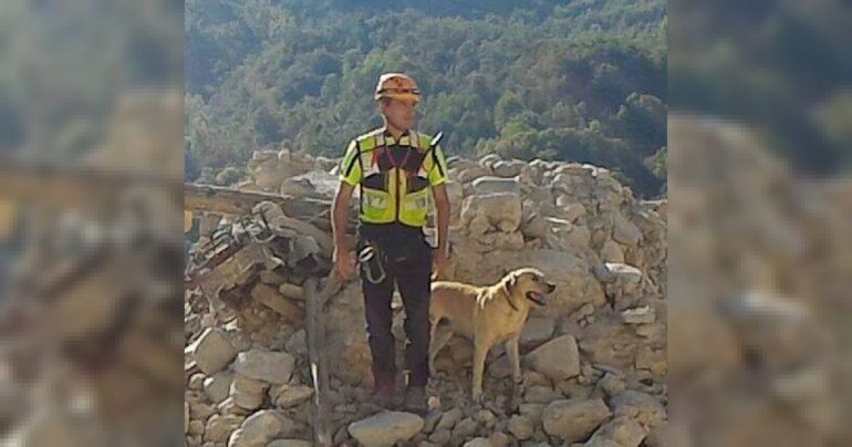 Cercò i dispersi del Ponte Morandi: morto Marley il cane dei vigili del fuoco