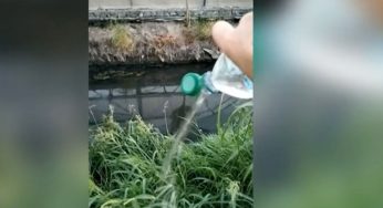 Fiume Sarno, la protesta delle bottigliette: «Acqua limpida» nei canali contro gli sversamenti illegali