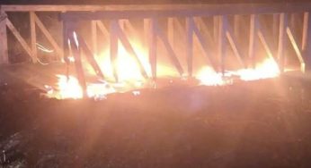 A fire at the LIPU Oasis in Soglitelle engulfed nearly five hectares. The complaint states: "It was bothering someone."