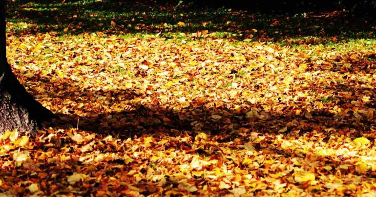 Ottobre in Campania, cosa fare nel primo mese d’autunno: gli eventi da non perdere