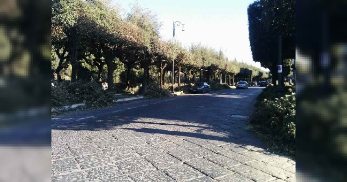 La zona dell'investimento mortale