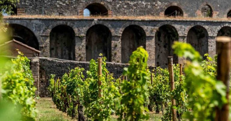 Pompei torna a vendemmiare: la Festa del Vino riporta Bacco tra gli antichi vigneti degli Scavi