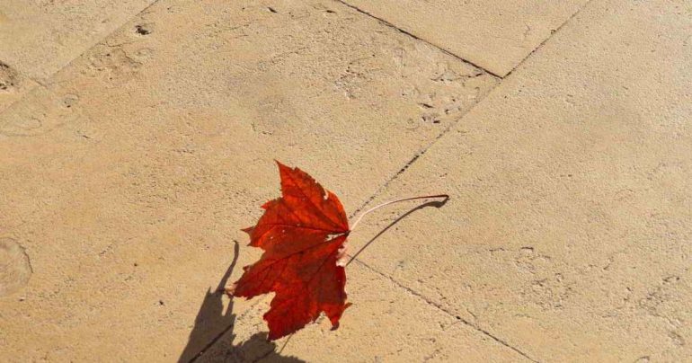 Quando arriva il freddo? Temperature in calo, ecco cosa può succedere a ottobre 2026