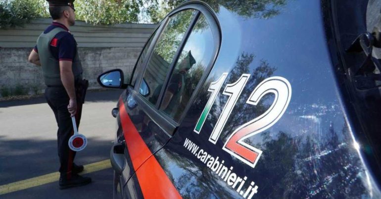 San Felice a Cancello, pitbull aggredisce uno Yorkshire: denunciato il proprietario
