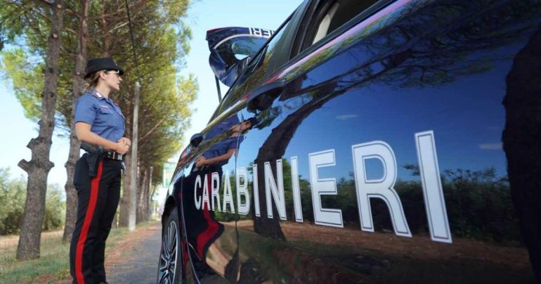 San Felice a Cancello, pitbull aggredisce uno Yorkshire: denunciato il proprietario