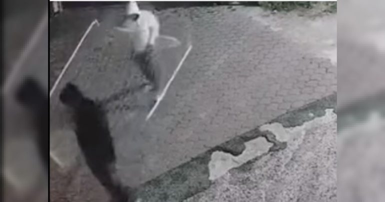 Solofra, raffica di furti in casa in otto province: quattro arresti