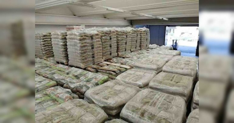 Truffa online del pellet: denunciato un 25enne casertano