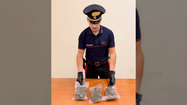 Gragnano: scoperti 660 grammi di marijuana nelle aree condominiali del Parco Sofia