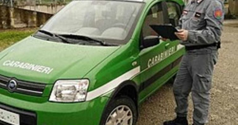 Avellino, reati ambientali: sette denunce tra amianto abbandonato e roghi illegali