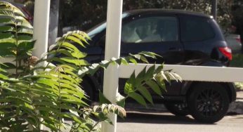 Banda della minicar, sono due minori i responsabili dell’aggressione all’attore Iacopini: hanno confessato