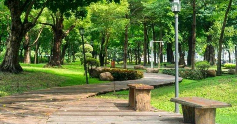 Benevento, tentato omicidio al Parco De Mita: scarcerato il 22enne Valerio Pagnozzi