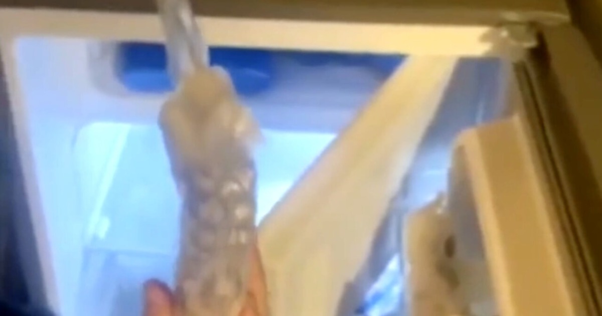 Droga nascosta nel freezer