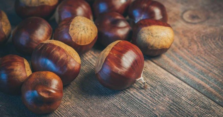 Cusano Mutri e Roccamonfina, due sagre che sanno di autunno