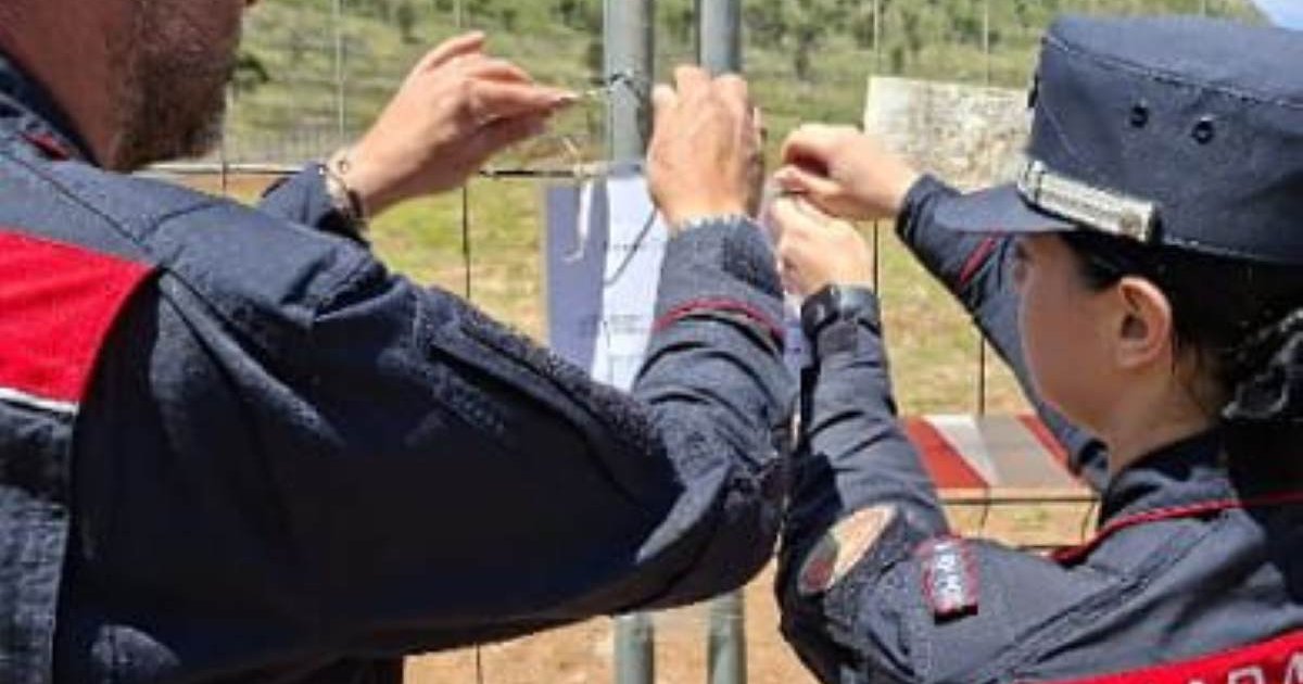Nell'immagine, un contesto collegato ai fatti.