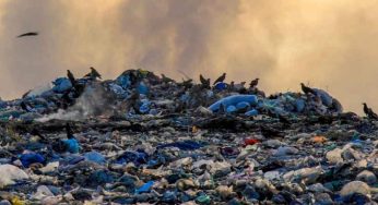 Reati ambientali, la Campania resta prima: 5.636 illeciti, Napoli in testa alle province