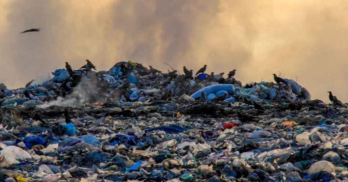 Nell’immagine, un riferimento ai fatti narrati.