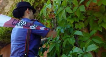 Valle di Maddaloni, rifiuti bruciati in un fondo agricolo: denunciato il proprietario