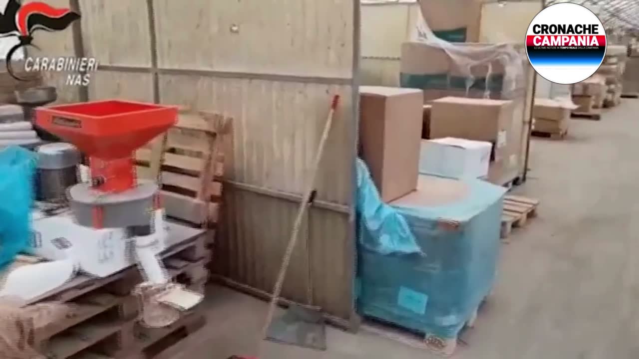 Blitz sul pet food, caso choc ad Avellino: finto ambulatorio e tre cuccioli morti nel retrobottega