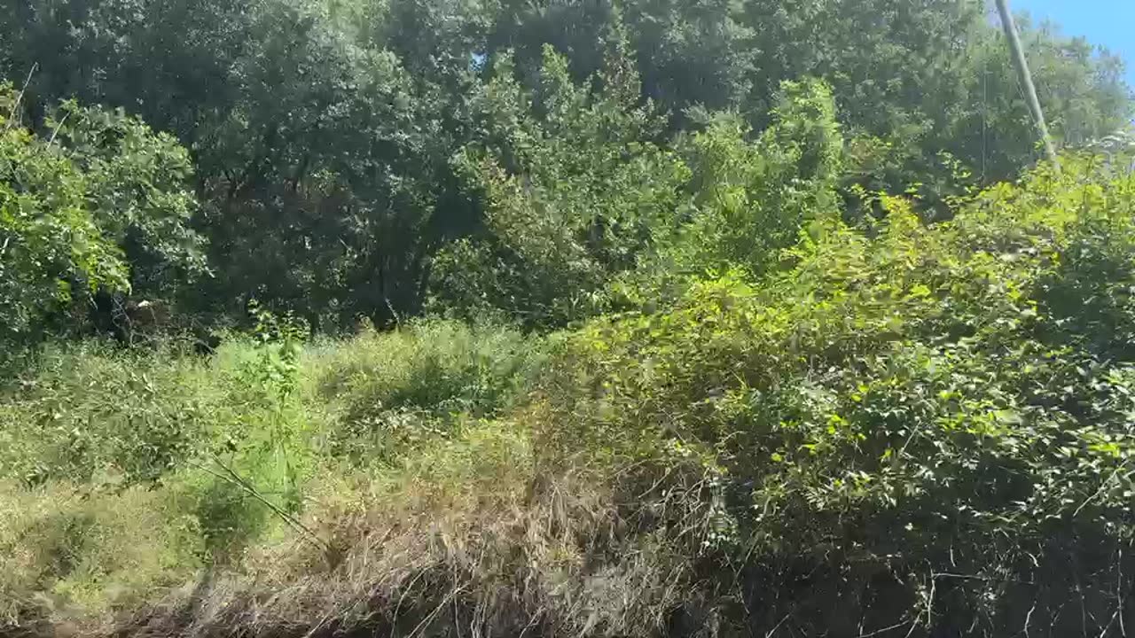 Pozzuoli, masso si stacca dalla montagna e travolge un’auto: coppia salva per miracolo