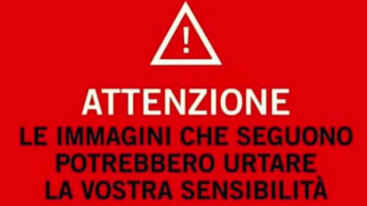 VIDEO CHOC Spari al detenuto: il Sinappe contesta l’accusa all’agente e attacca il silenzio di Meloni e Nordio