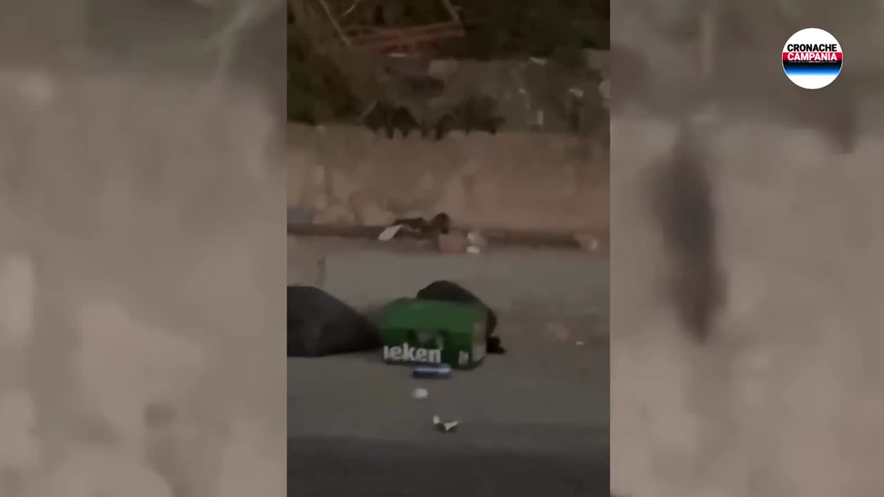 Invasione di topi ‘giganti’ in via San Michele a Ponticelli